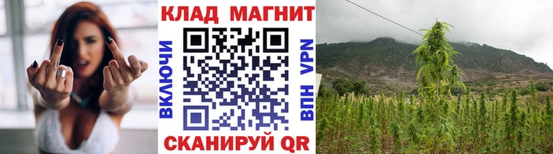 Купить закладку КОКАИН  Метадон  Мефедрон  ГАШИШ  Каннабис  Отрадный