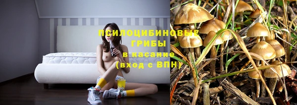 дживик Арсеньев