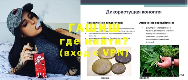 дживик Арсеньев