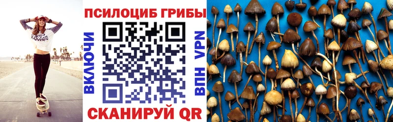 Купить закладки  Отрадный  Галлюциногенные грибы Psilocybe 